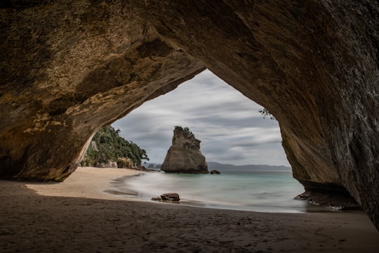 cave beside calm body of water in Te Whanganui-A-Hei New Zealand