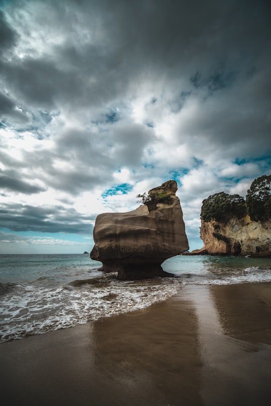rock formation on seahore in Te Whanganui-A-Hei New Zealand