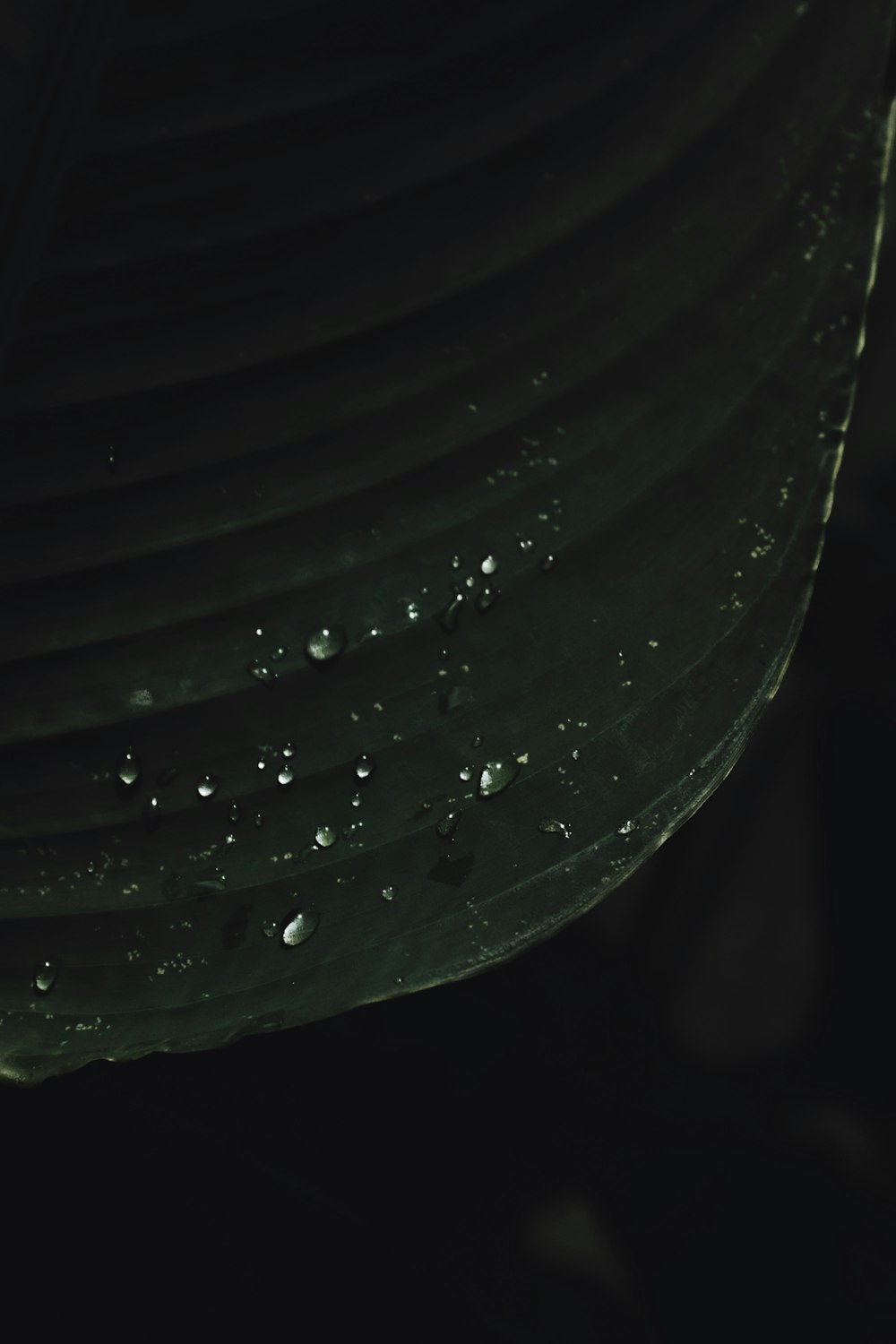 water droplets on black textile