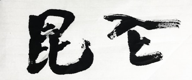 Bold black brush strokes form two large Chinese characters on a white background, showcasing calligraphy art.