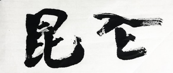 Bold black brush strokes form two large Chinese characters on a white background, showcasing calligraphy art.
