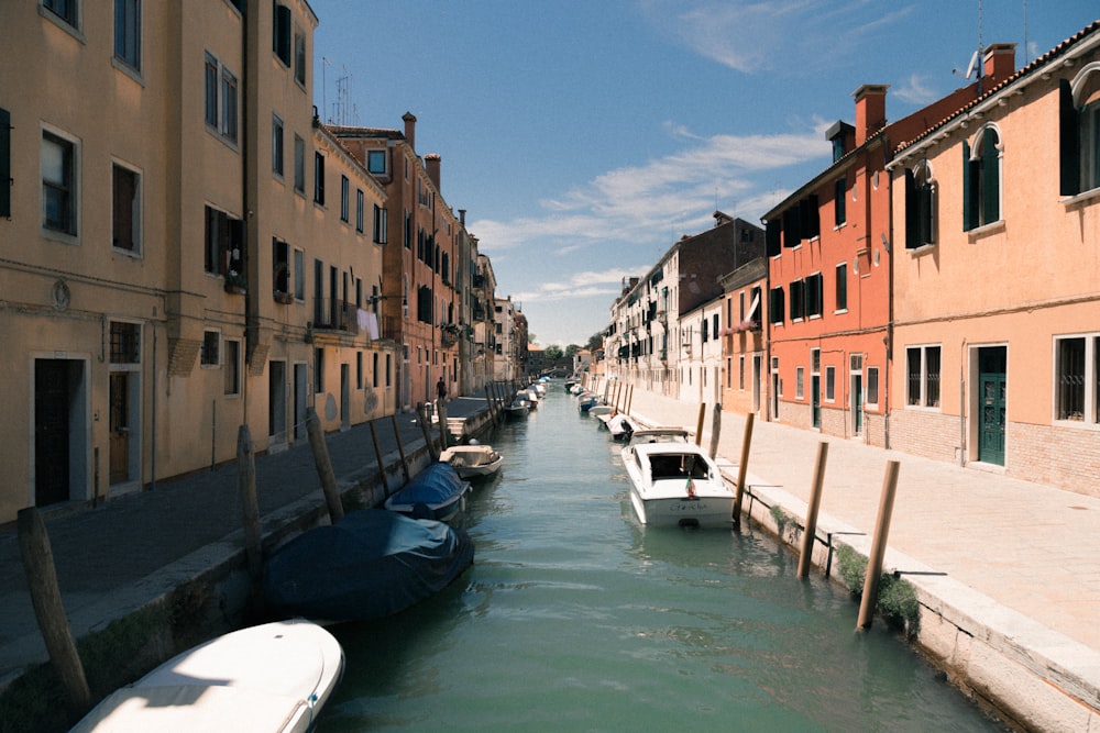 assorted boats in body of water