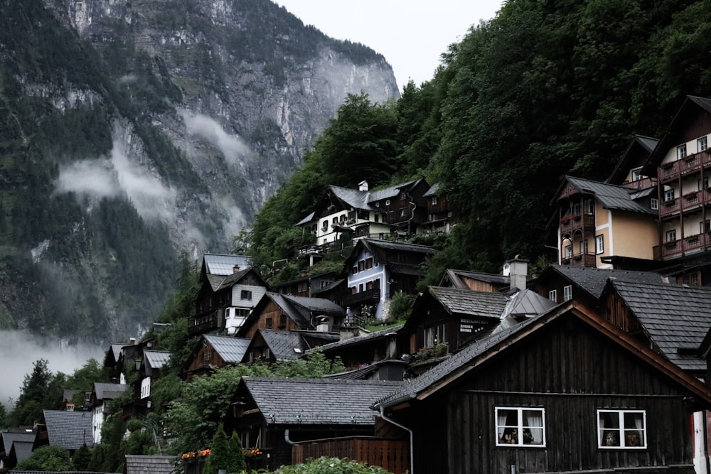 wooden houses near trees covered mountain during daytime