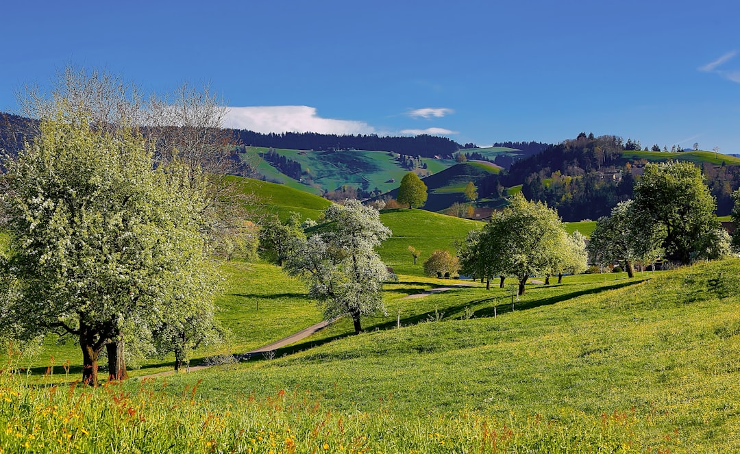 Hill photo spot Hirzel Stoos