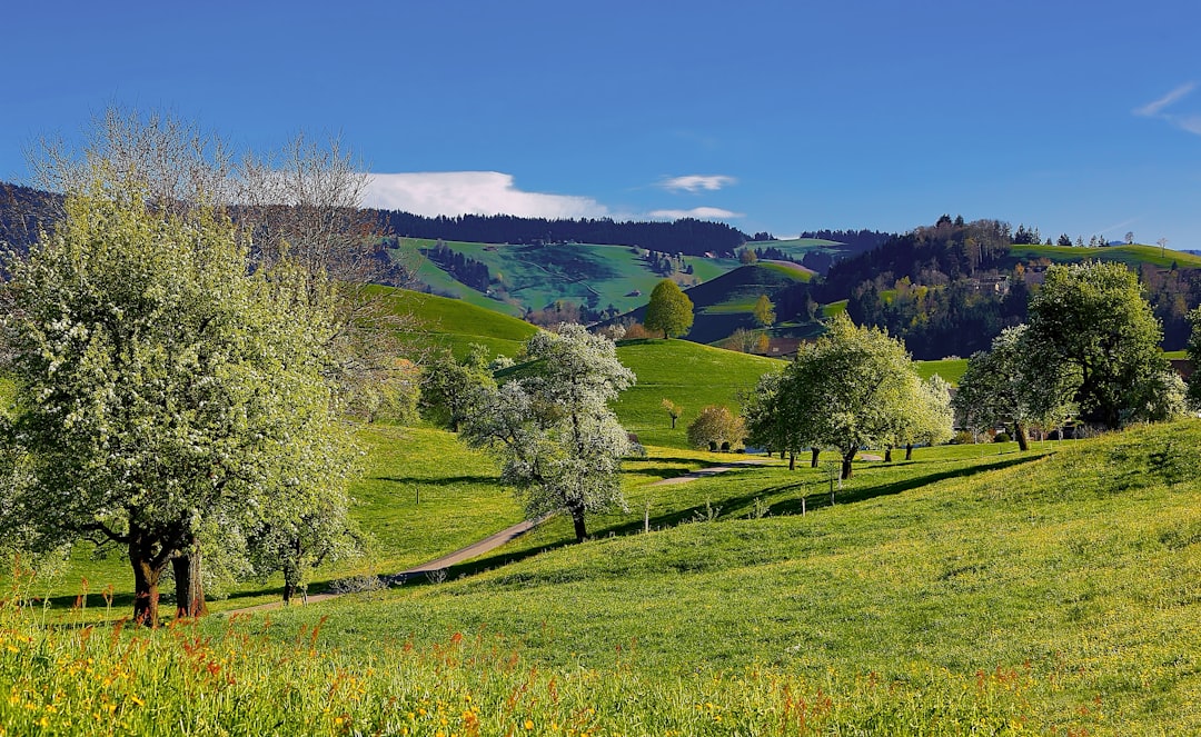 Travel Tips and Stories of Hirzel in Switzerland