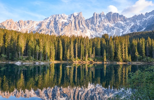 forest near body of water in Karersee Italy