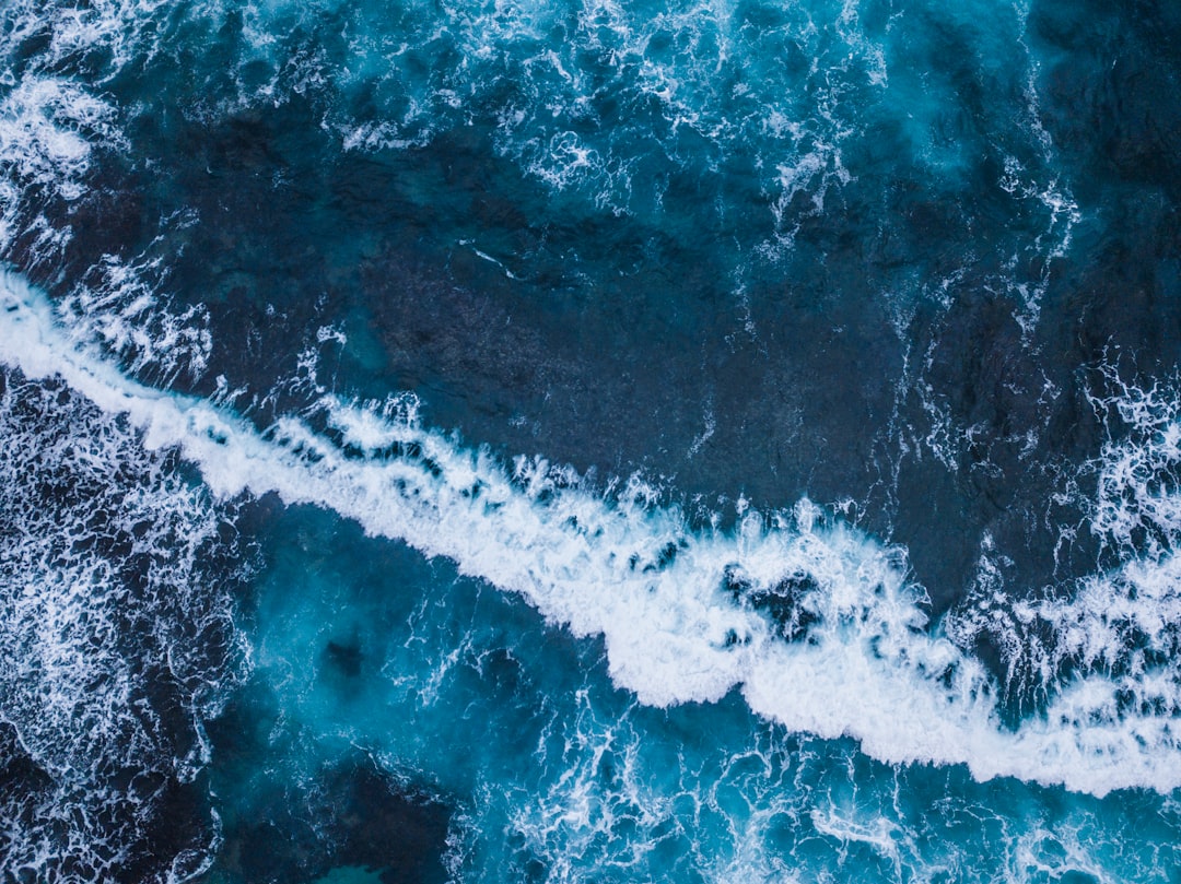 travelers stories about Ocean in Cape to Cape Walk Track, Australia