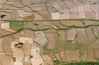 An aerial view of agricultural fields composed of various irregular shapes and sizes. The fields are divided by narrow pathways and some green patches. The terrain features a variety of earth tones with a few scattered structures and sparse vegetation.