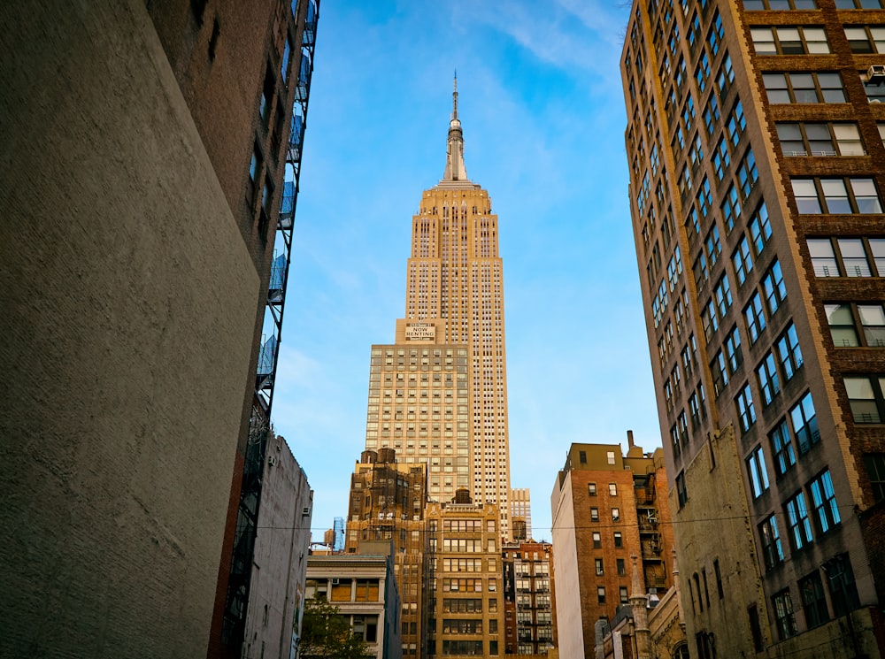 茶色の高層ビルのローアングル写真