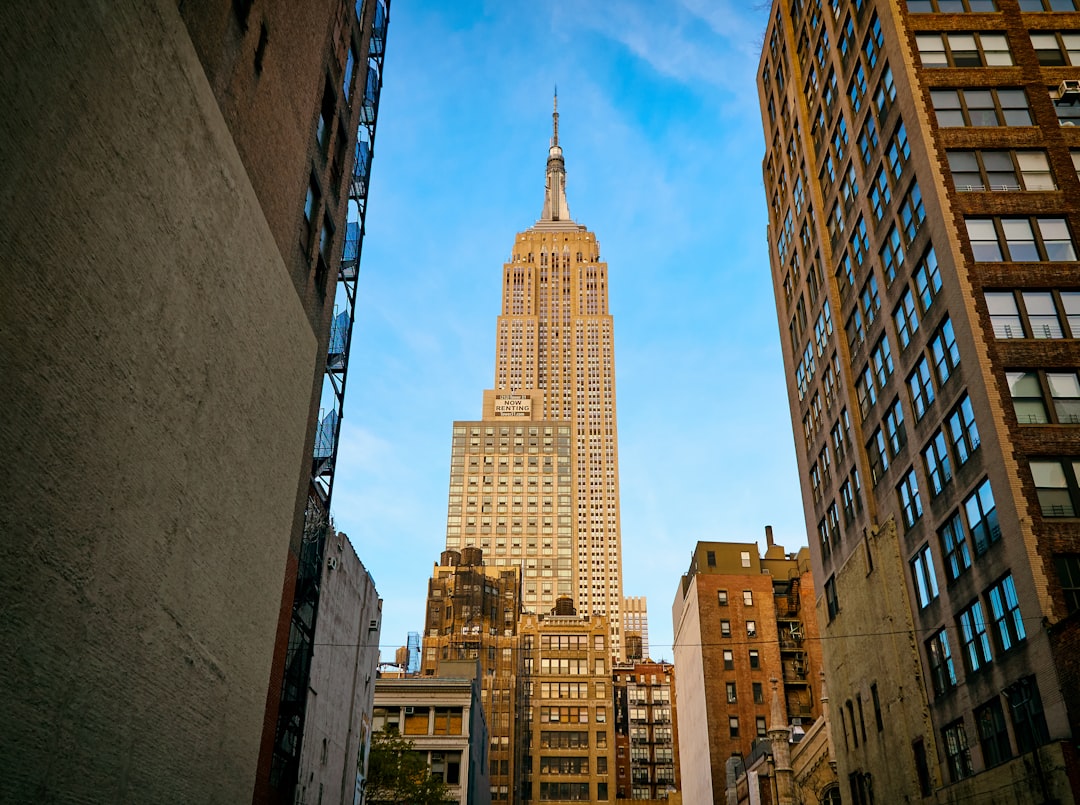 low angle photo of brown high-rise building, Empire State Building