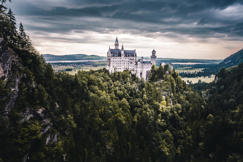 white castle with forest