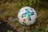A well-worn soccer ball with blue and green cross designs is resting on the ground among some grass and a few scattered stones. The ball has some visible text and logos on it.