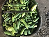 Rows of crisp gherkins ready for bulk shipment in a warehouse