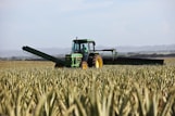 person riding tractor