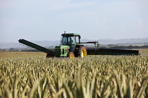 Tractor working field