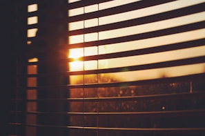 scenery of sunset