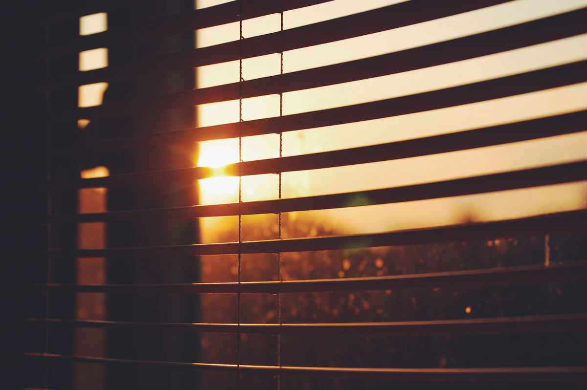 The view through the window