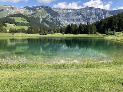 Bonneville — lac alpin et forêt de sapins