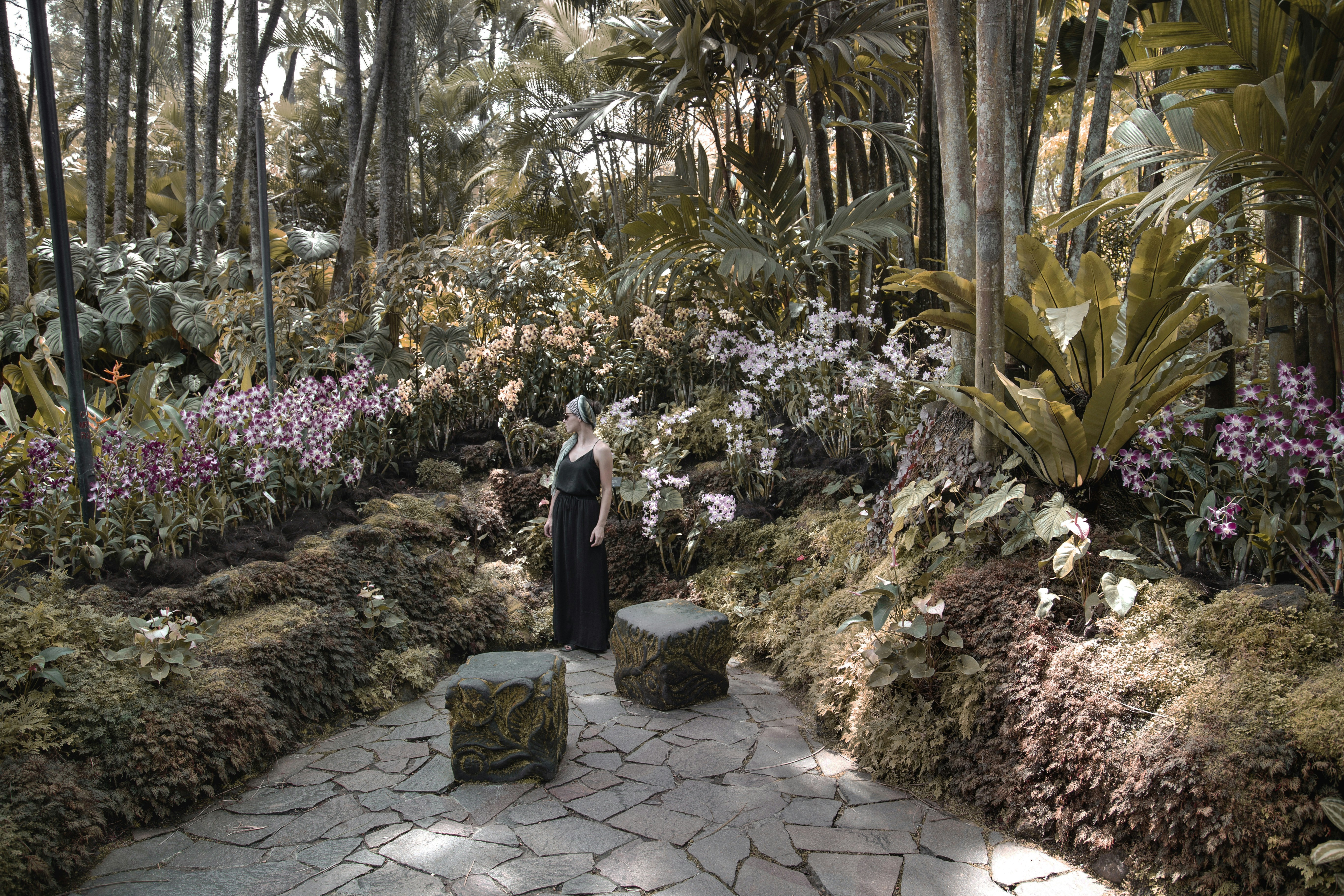 wisata instagrammable Orchid Forest Cikole dengan suasana hutan pinus estetik