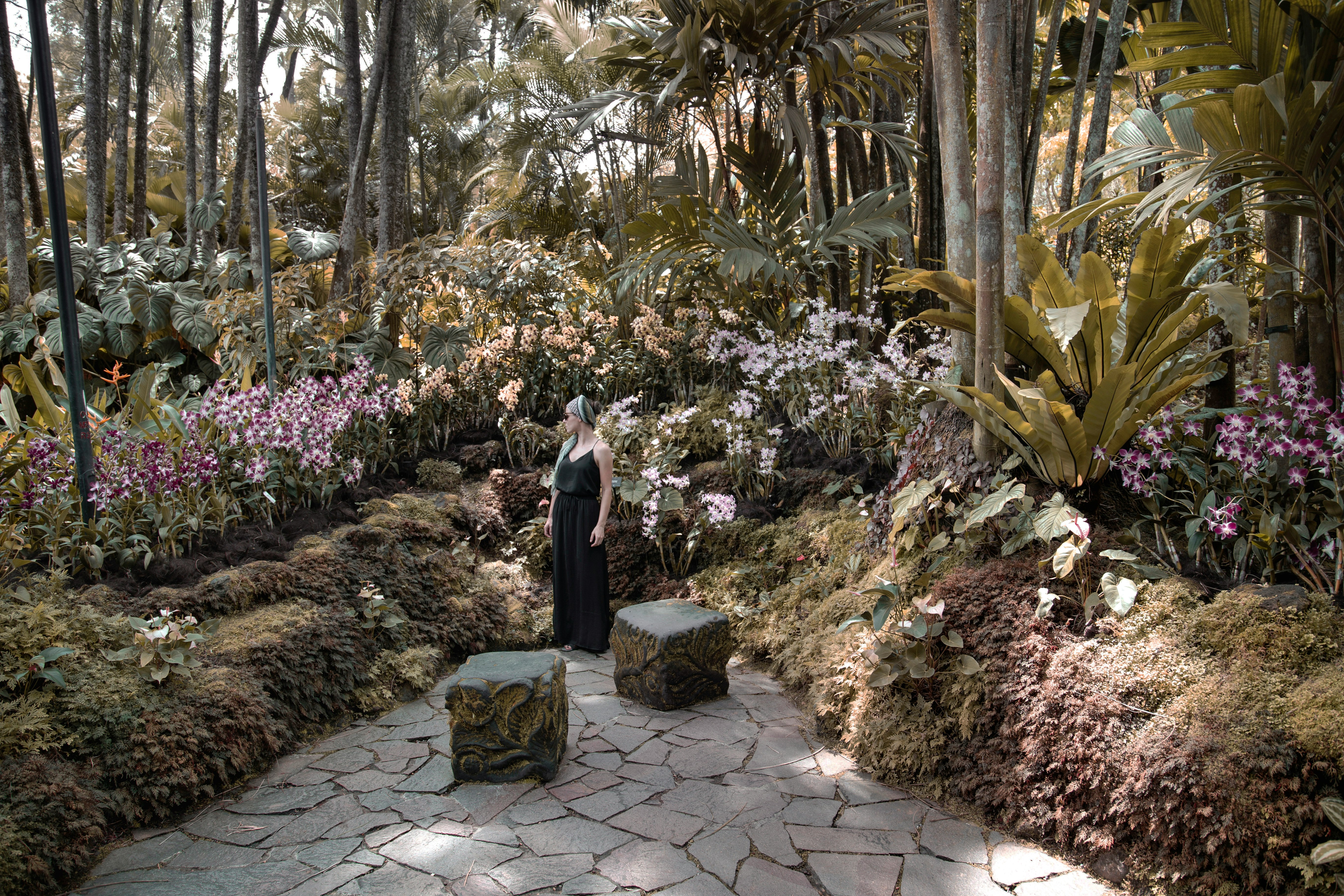 woman in black dress standing near pink flowers