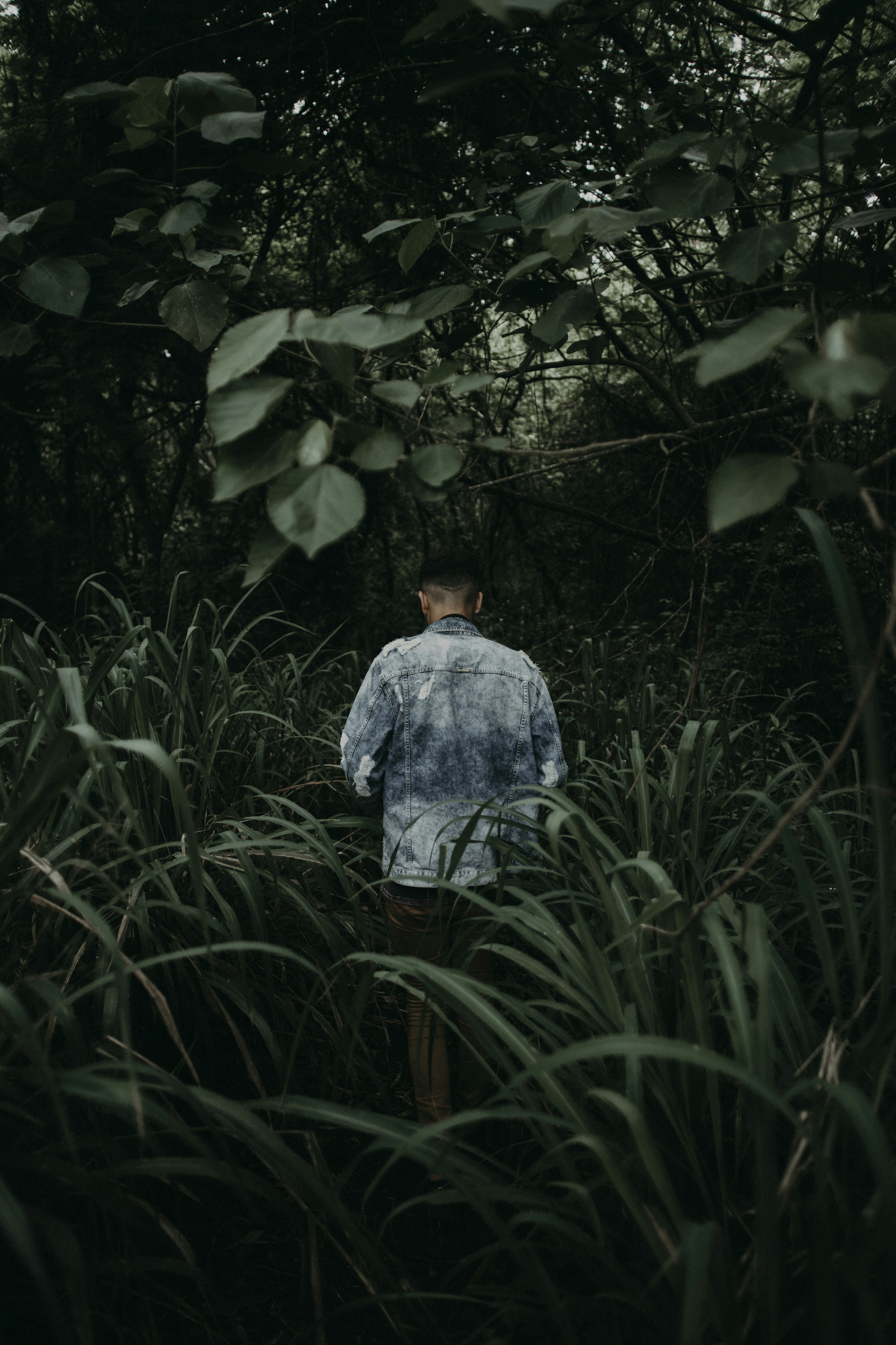 五十度灰未删减版樱花，五十度灰第3集在线观看