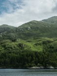 landscape photo of trees and mountain