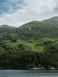 landscape photo of trees and mountain