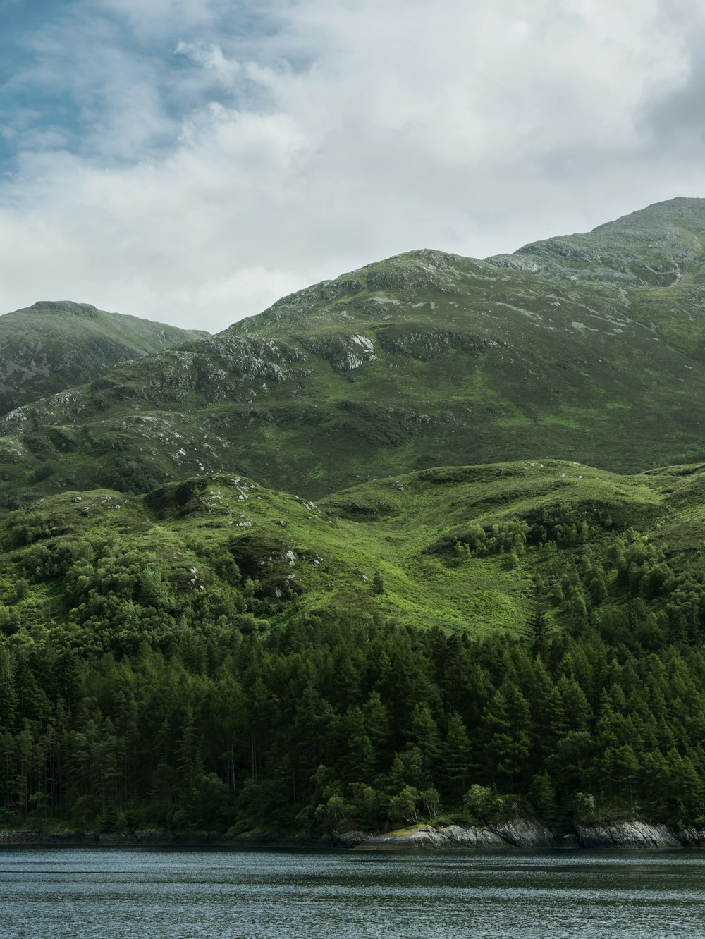 landscape photo of trees and mountain