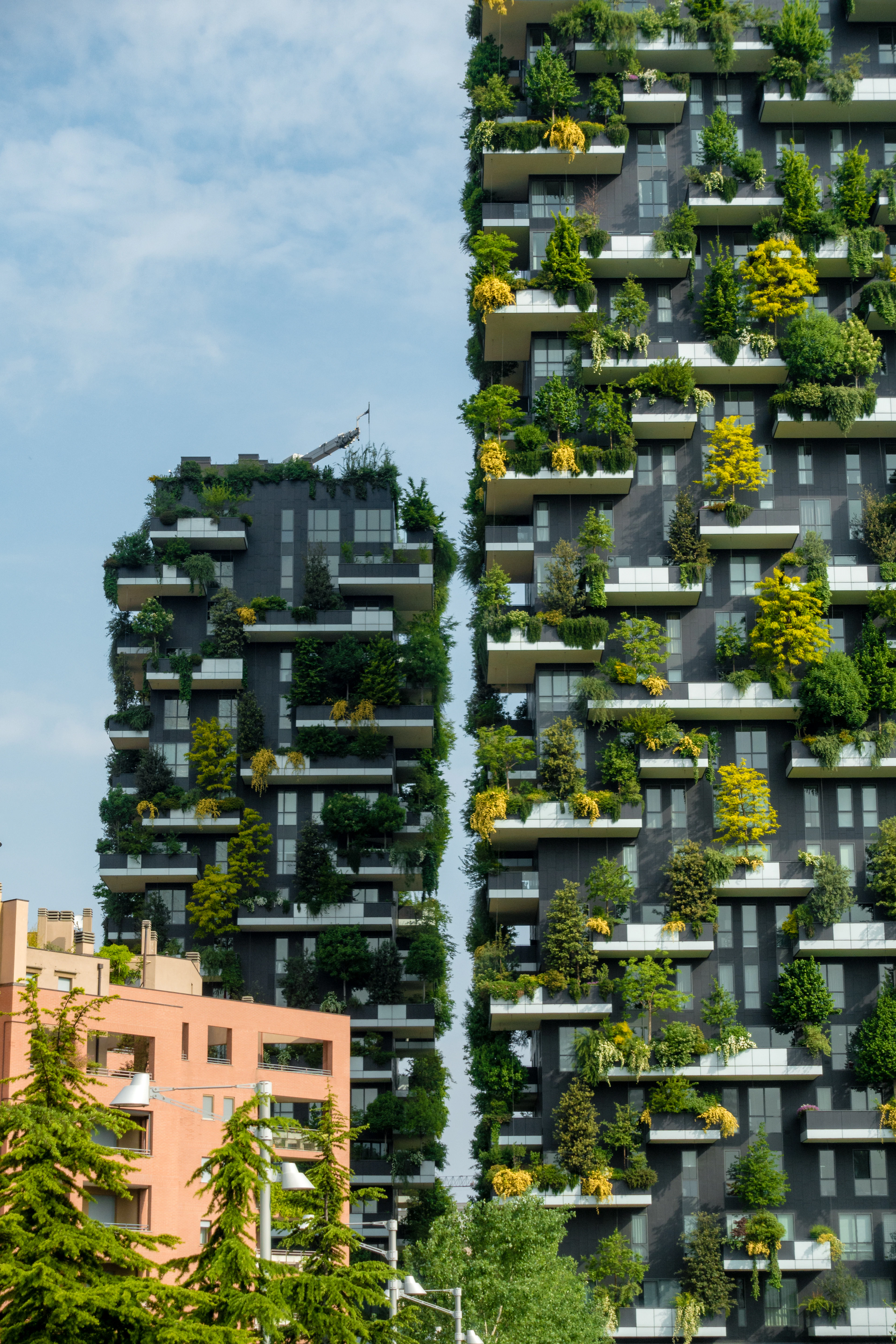 The two towers of Milan's Bosco Verticale seen close up, every cantilevered balcony packed with mature trees and shrubs in full summer leaf against a pale blue sky.
