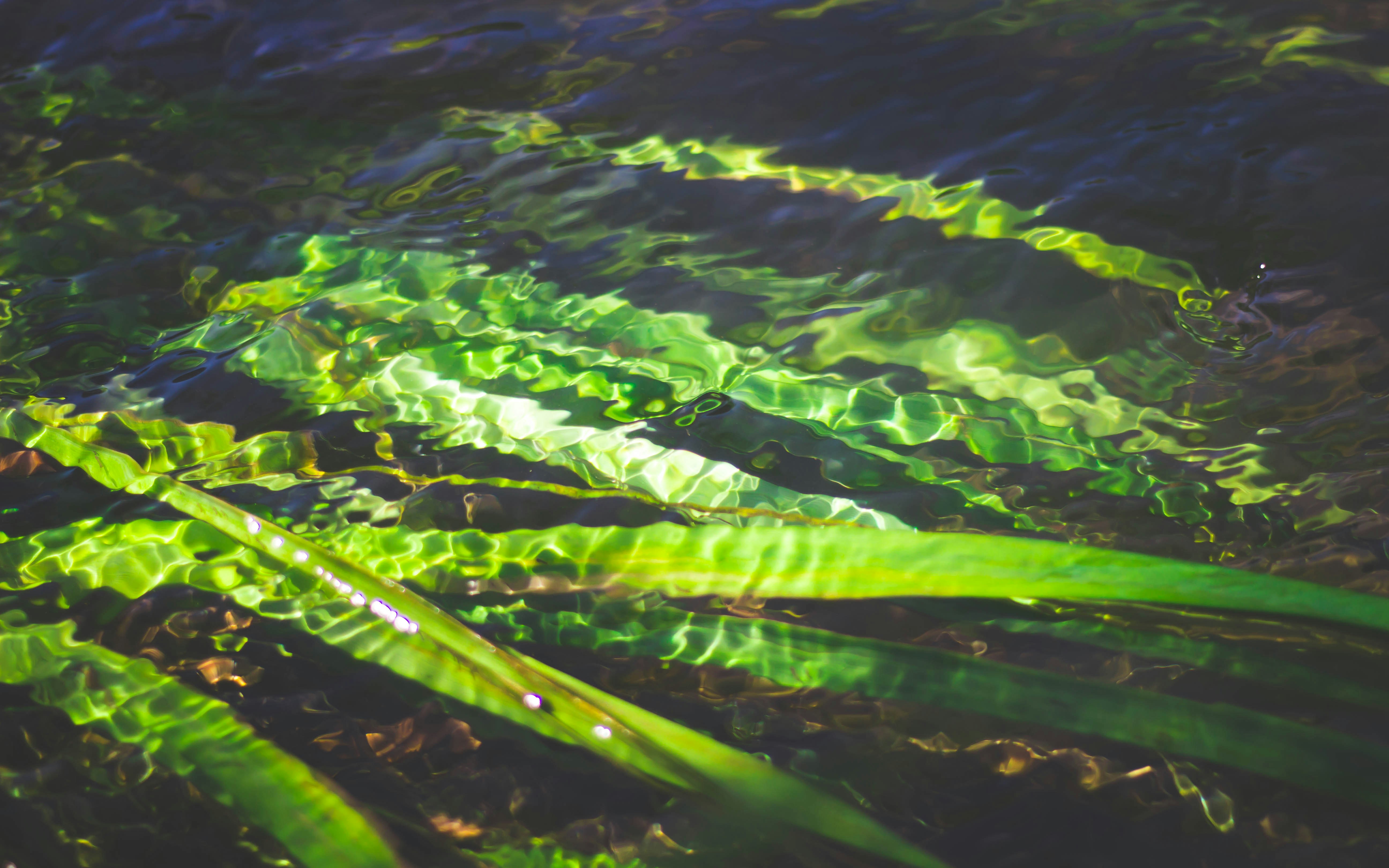 威海静好，连续多日无新增疫情的宁静篇章 威海几天没有新增了疫情