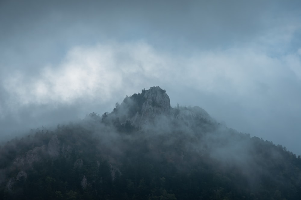 Aerial photo of tree covered mountain