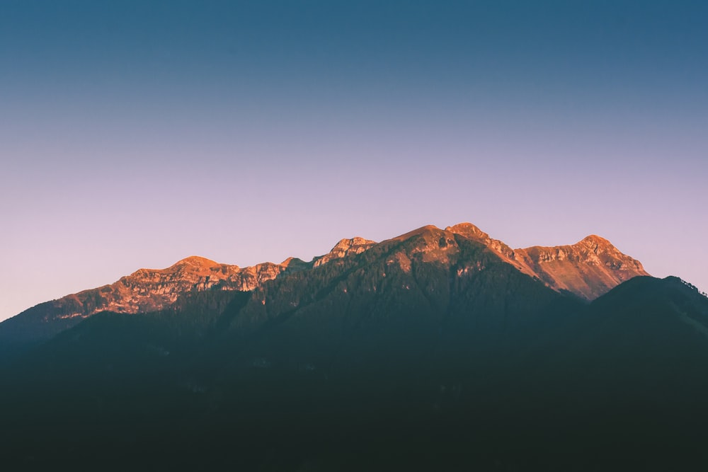 mountain and trees