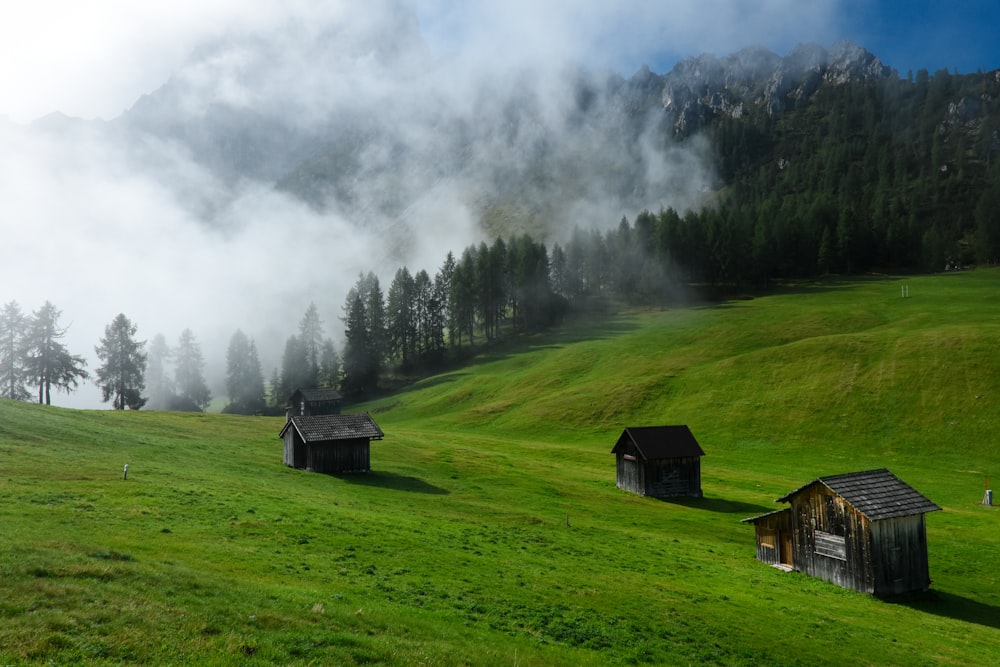 gray wooden sheds on green field