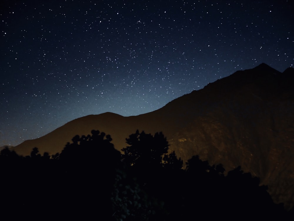 silhouette of trees near mountains