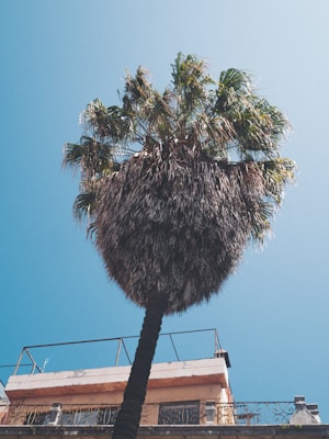 Photo 1530313260756 A48e9ce8dd05?q=85&w=700&h=400&fit=crop