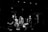Four musicians perform on a dimly lit stage set for a jazz festival, with a double bassist, drummer, saxophonist, and a musician in a hat. The atmosphere is intimate and focused, highlighted by stage lighting that casts shadows around the edges.