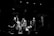 Four musicians perform on a dimly lit stage set for a jazz festival, with a double bassist, drummer, saxophonist, and a musician in a hat. The atmosphere is intimate and focused, highlighted by stage lighting that casts shadows around the edges.