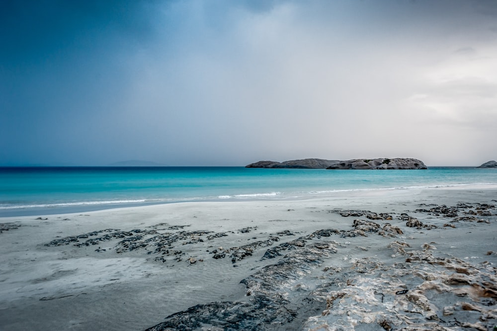 seashore under gray sky