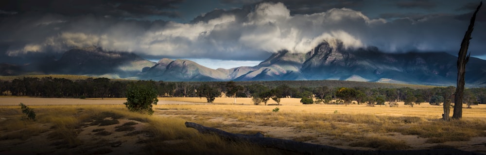 photo of mountains covered by clouds