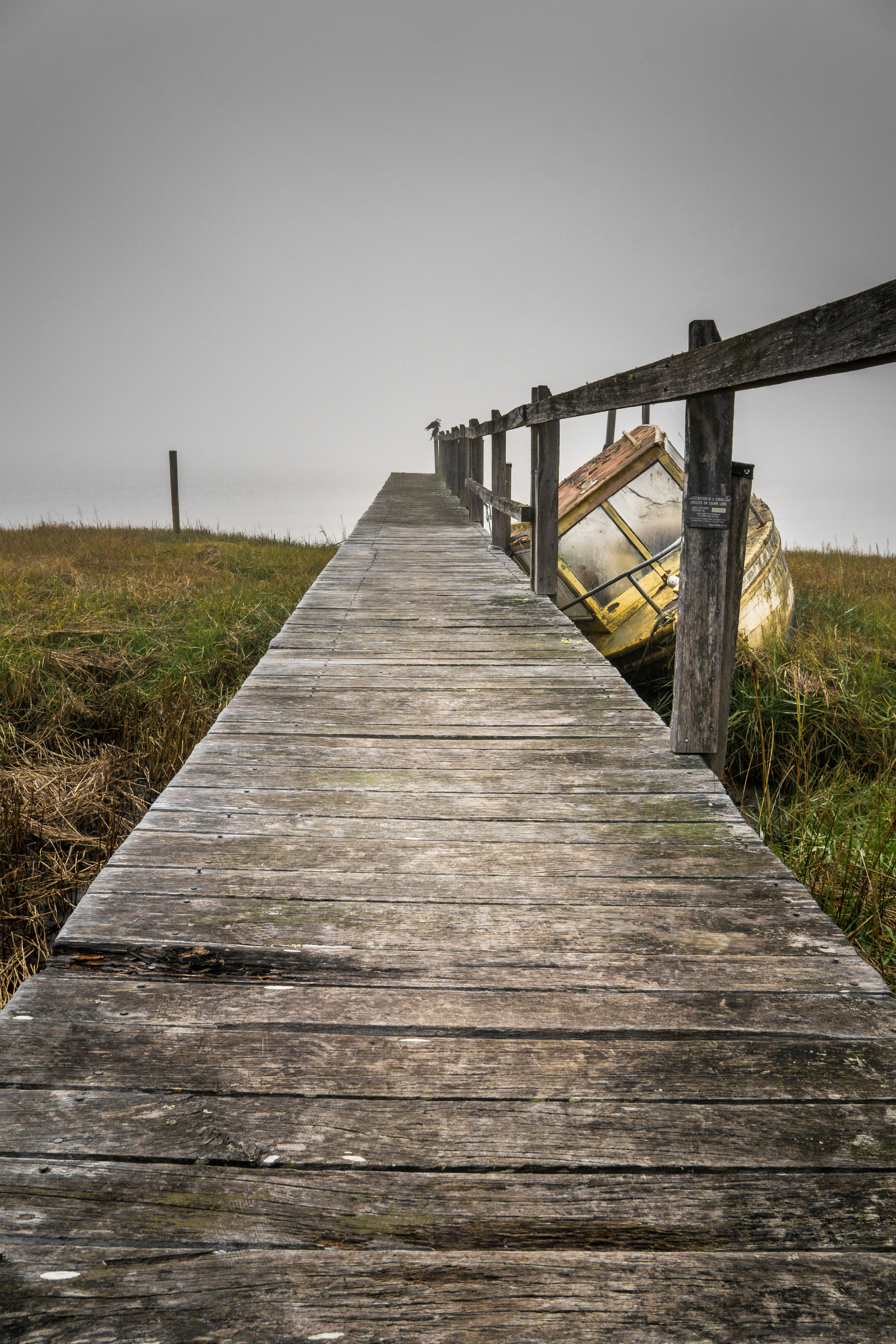 gray wooden dock bridge beside yellow boat