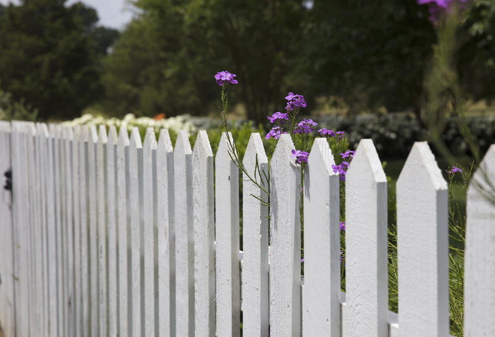 White picket fence with purple flowers in Nanaimo garden