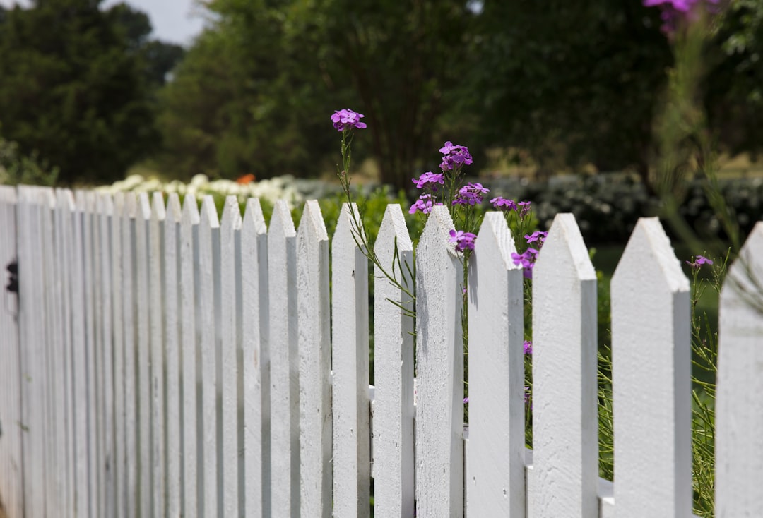 Choosing the Right Fence: A Comprehensive Guide