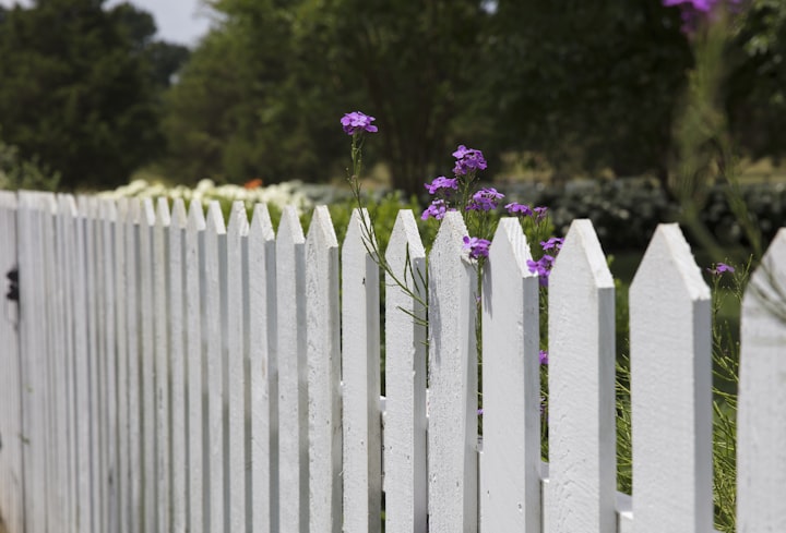 The Fence