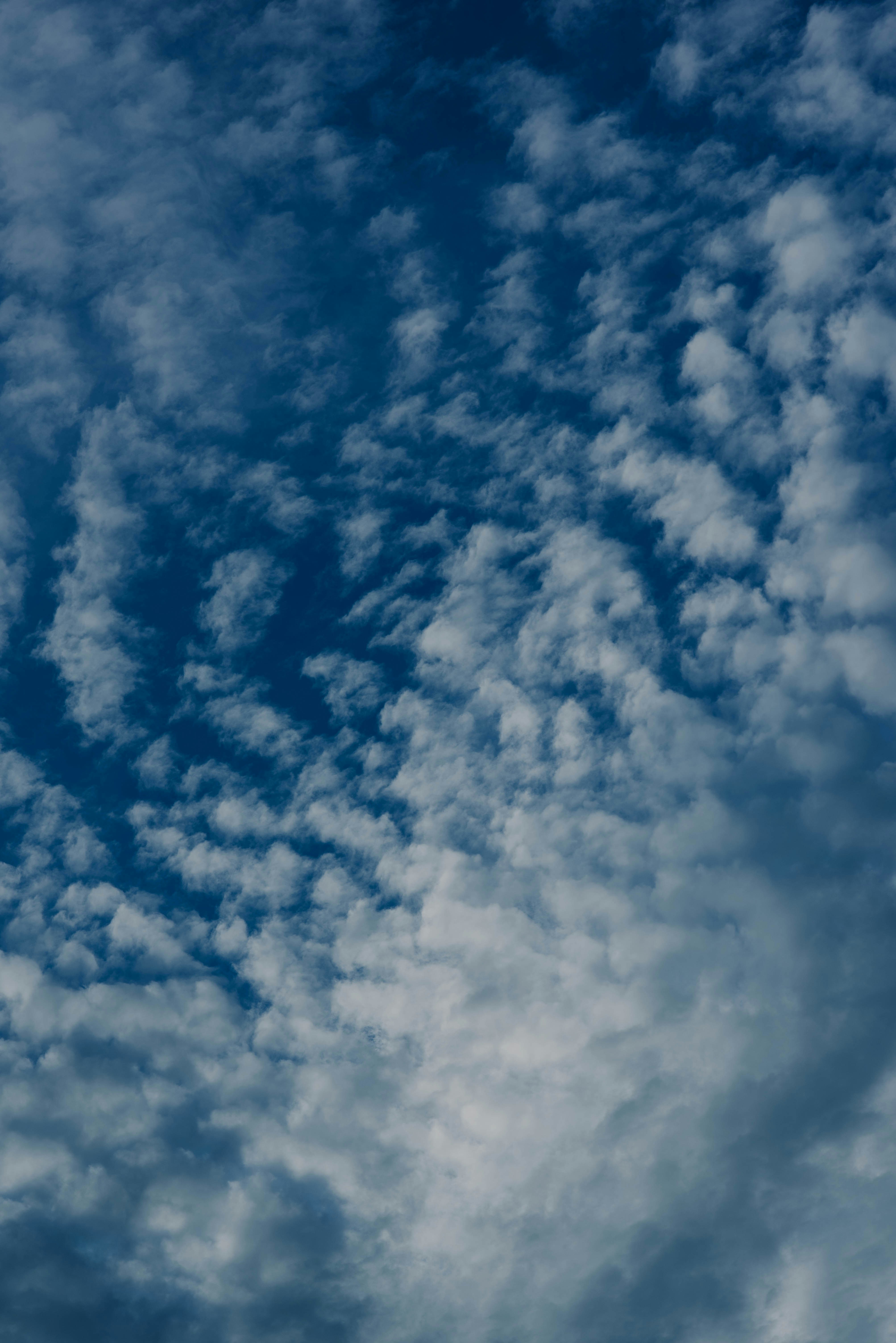 Photo by chuttersnap