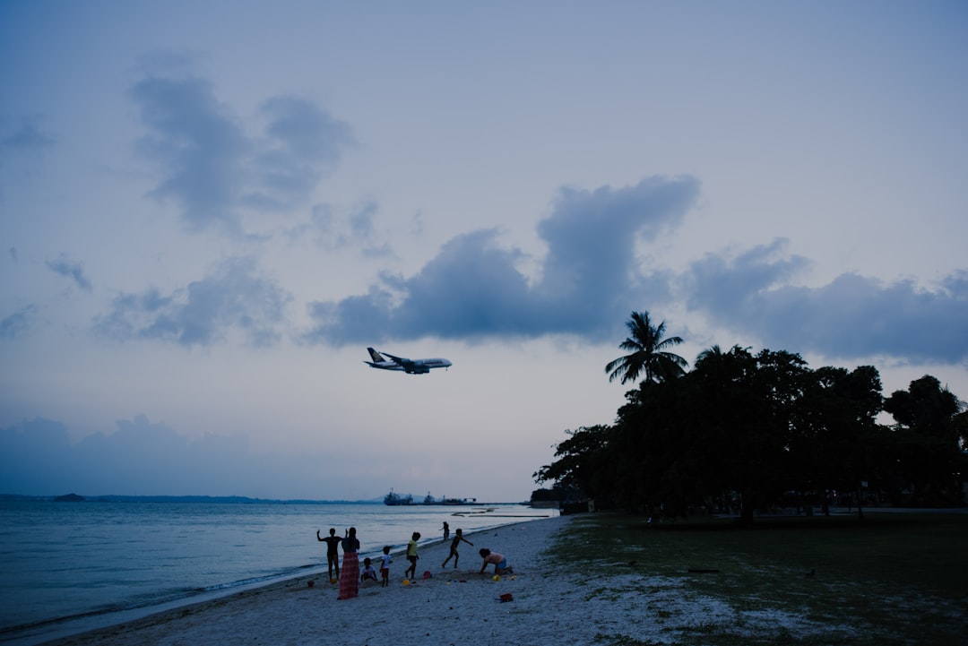 silhouette of plane and trees near beach under gray sky