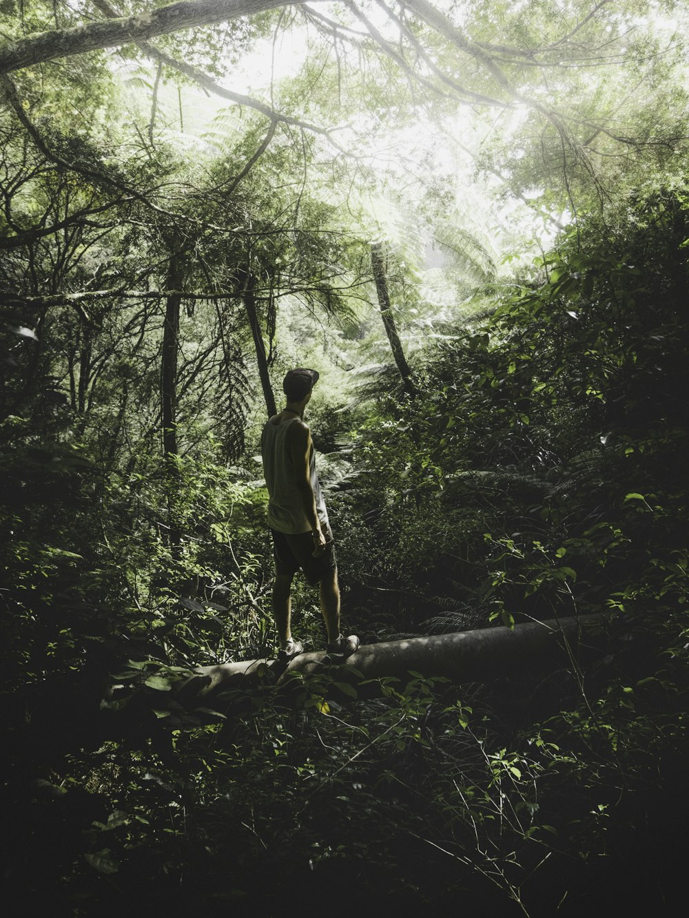 man standing on forest