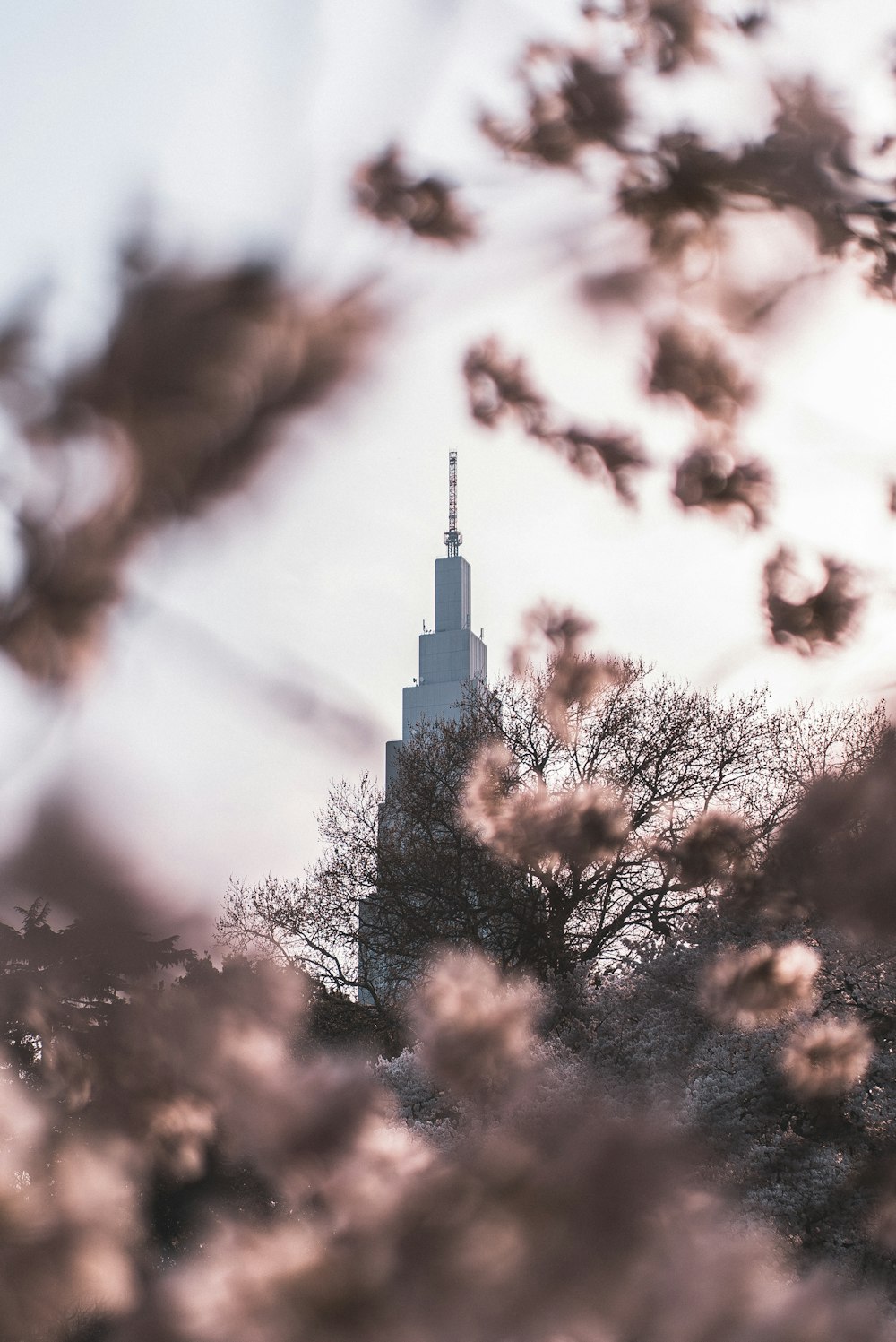 selective focus photography of tower building