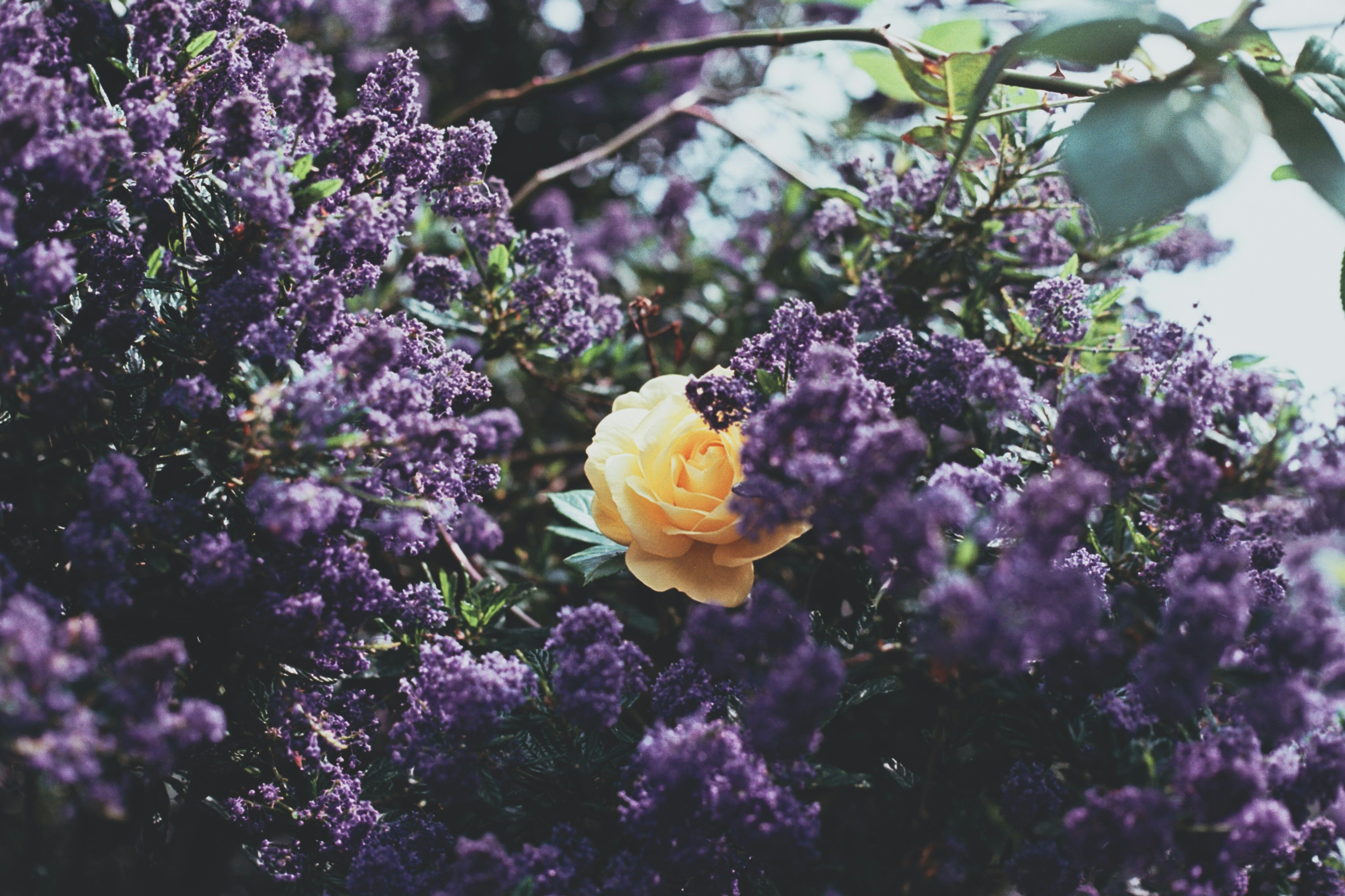 photo-1530343071431-81f1fd92af51?ixid=M3wxMjA3fDB8MXxzZWFyY2h8NHx8c2UlMjBwcml2YXQlMjBpbnN0YWdyYW0taW5kaG9sZHxlbnwwfHx8fDE3NTQyMzYyNjR8MA\u0026ixlib=rb-4.1.0
