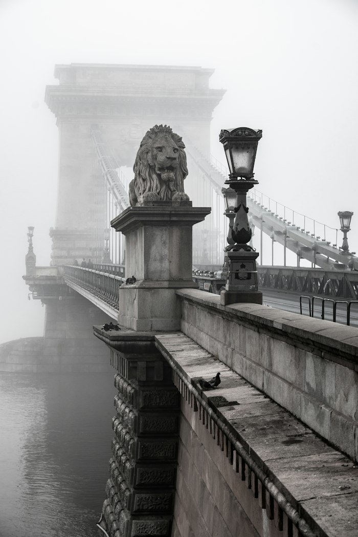 Budapest riverside where AimerWorld members meet in person