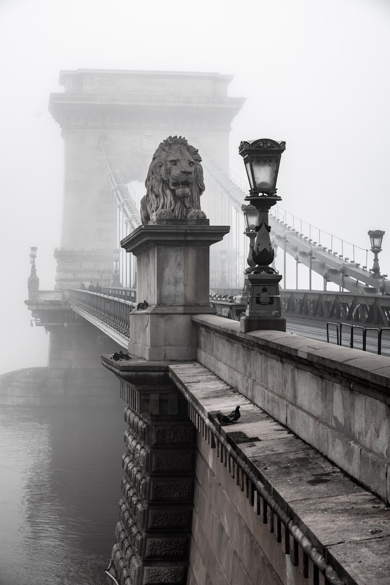 Budapest night